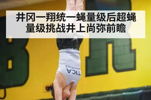 井冈一翔统一蝇量级后超蝇量级挑战井上尚弥前瞻